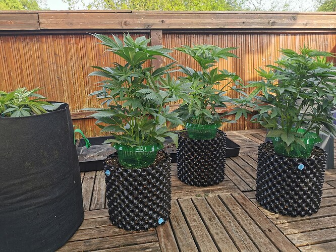 Growreport Bild 13