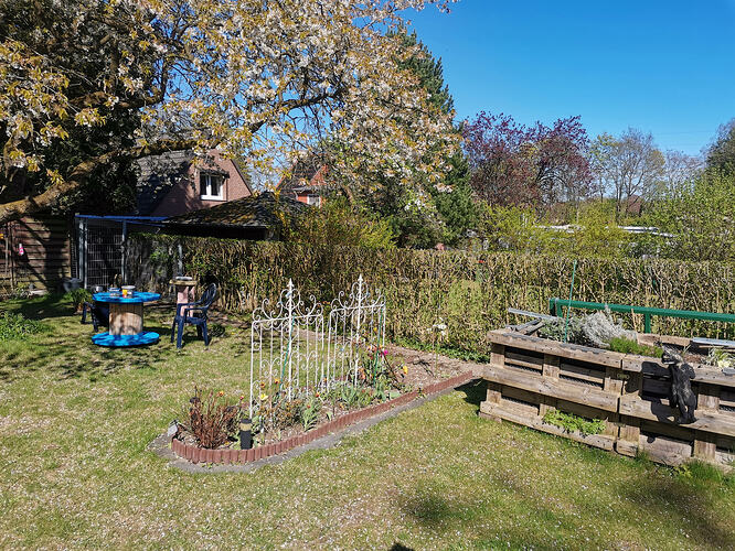 Lucky Hemp, Garten