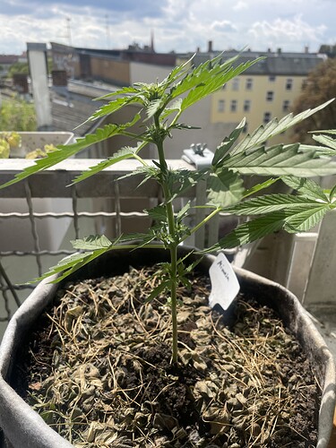 Growreport Bild 17