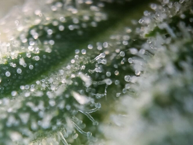 Growreport Bild 11