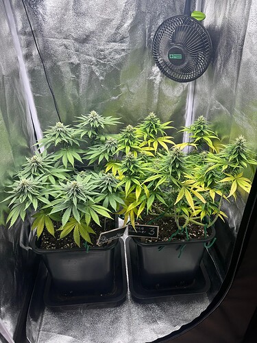 Growreport Bild 17