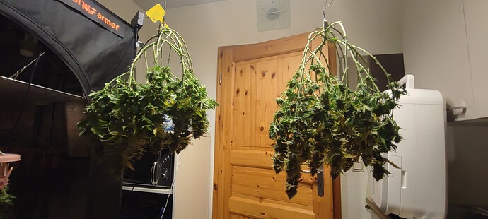 Growreport Bild 7