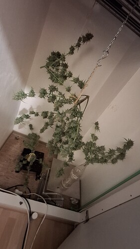 Growreport Bild 1