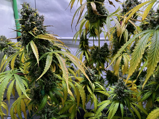 Growreport Bild 11
