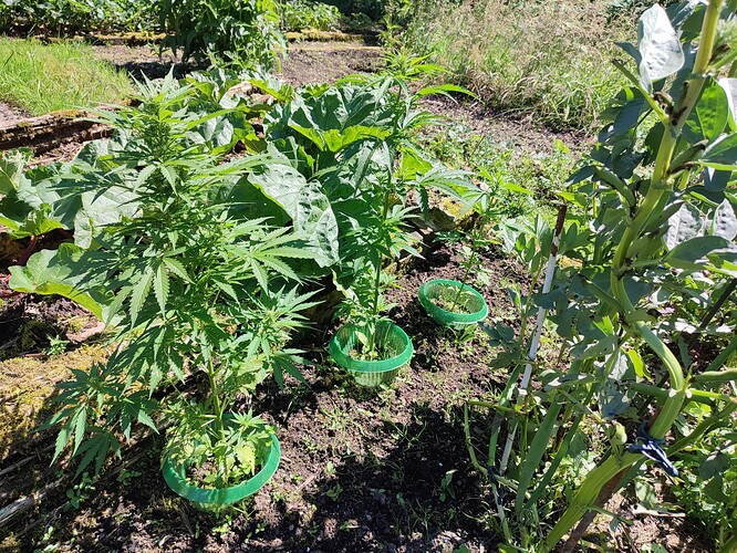 Growreport Bild 30