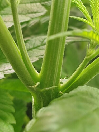 Growreport Bild 20