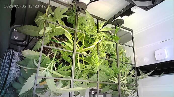 Growreport Bild 2