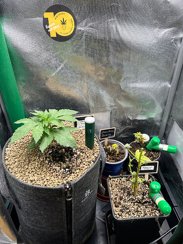 Growreport Bild 5