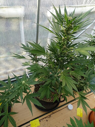 Growreport Bild 5