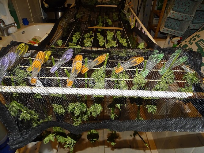 Growreport Bild 11