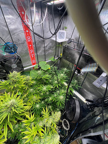 Growreport Bild 3