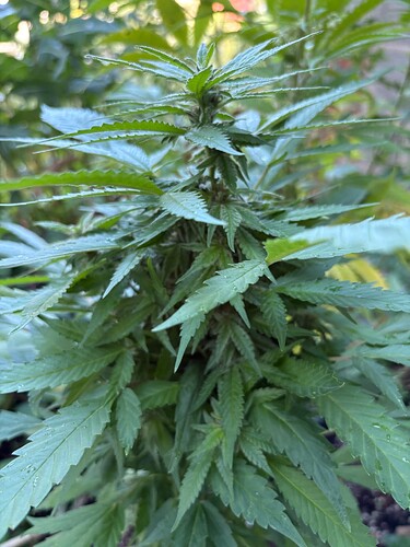 Growreport Bild 14