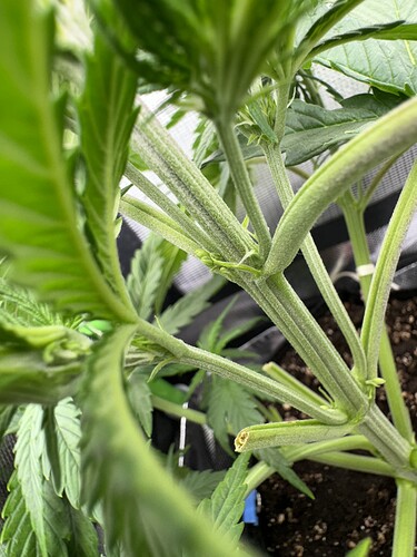 Growreport Bild 2