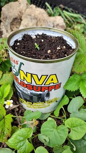 Growreport Bild 12