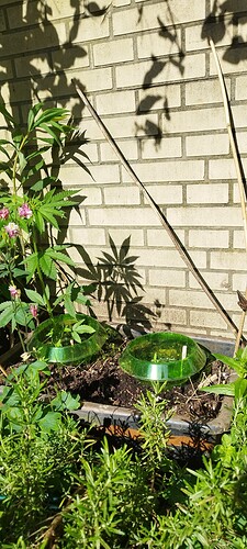 Growreport Bild 23