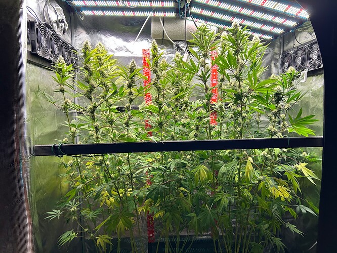Growreport Bild 1