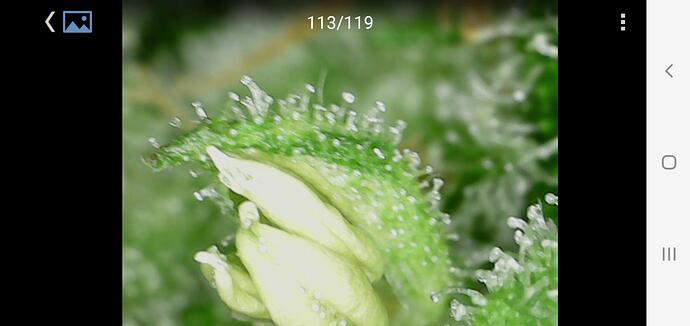 signal-2024-07-28-212055_004