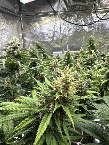 Growreport Bild 20