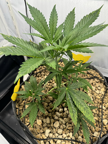 20240501_044031726_iOS