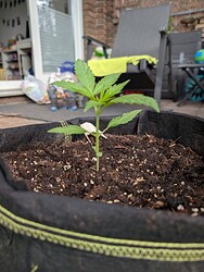 PXL_20250425_150054796