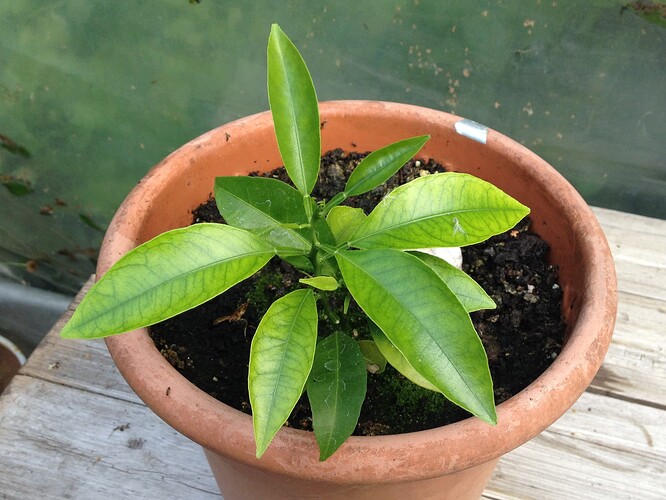 Growreport Bild 30