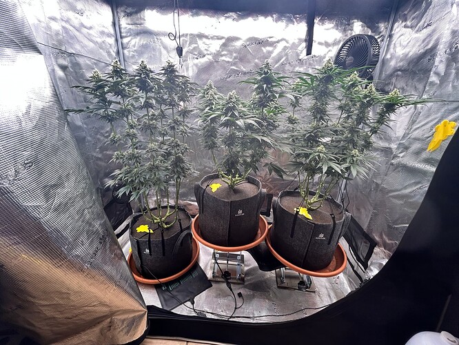 Growreport Bild 1