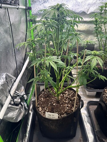 Growreport Bild 12