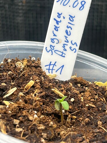 Growreport Bild 3
