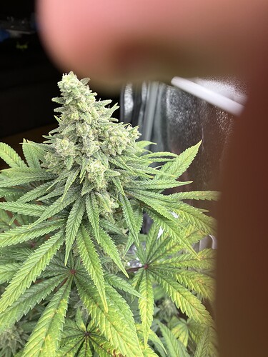 Growreport Bild 8