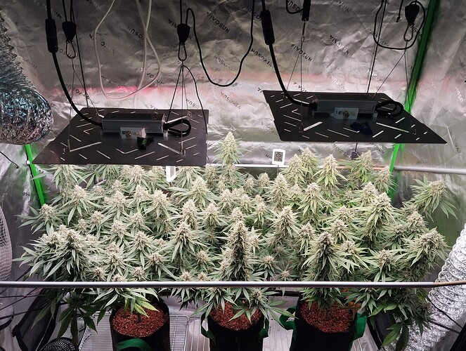 Growreport Bild 19