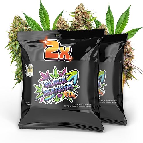 Growreport Bild 8
