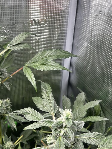 Growreport Bild 2