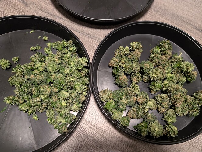 Growreport Bild 23