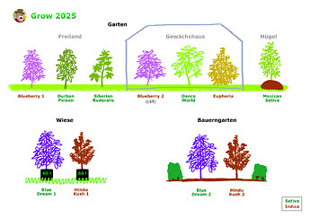 Garten25_Plan_05