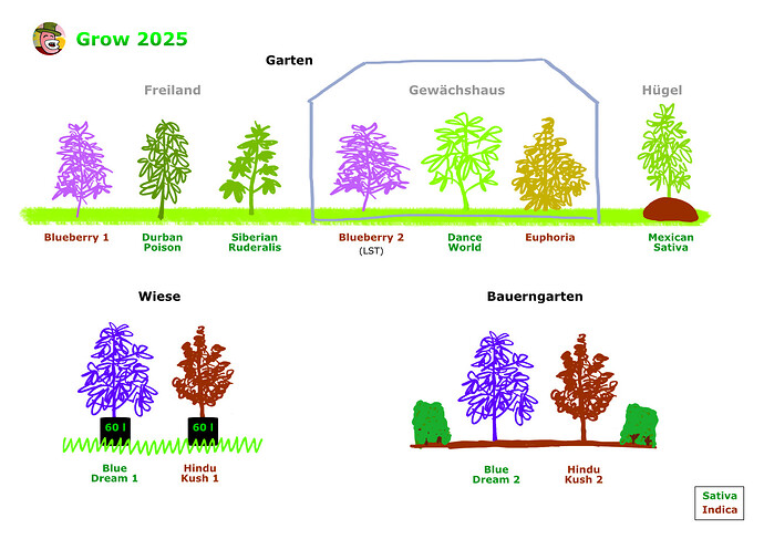Garten25_Plan_05