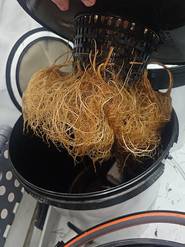 Growreport Bild 22