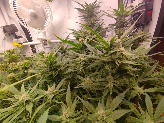 Growreport Bild 16