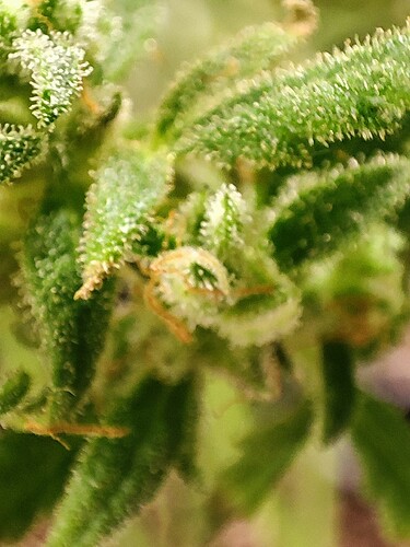 Growreport Bild 5