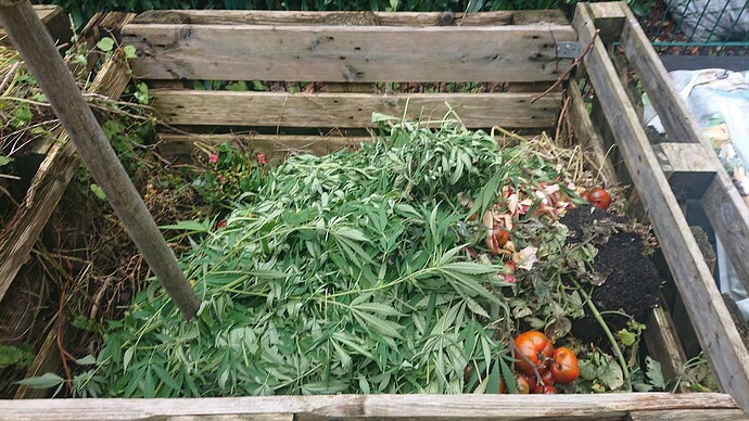 Growreport Bild 52