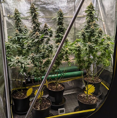 Growreport Bild 15
