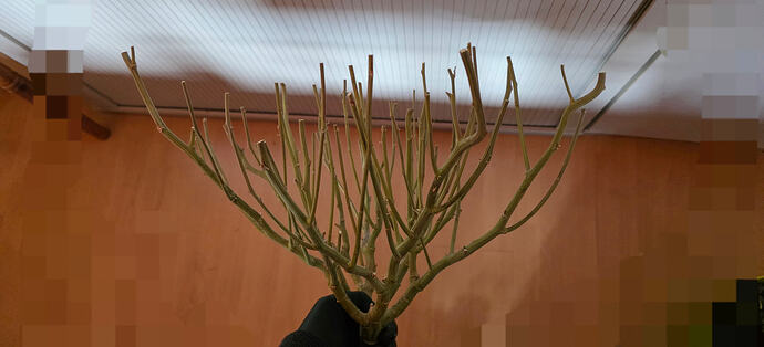 Growreport Bild 50