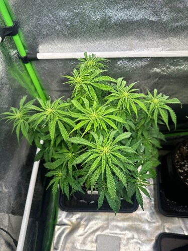 Growreport Bild 10