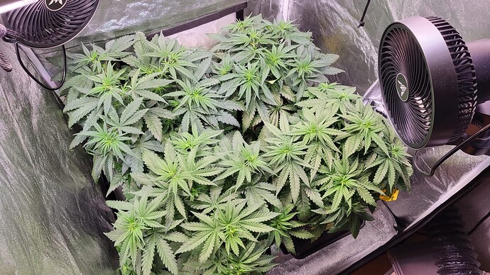 Growreport Bild 9