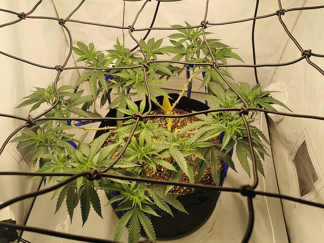 Growreport Bild 2