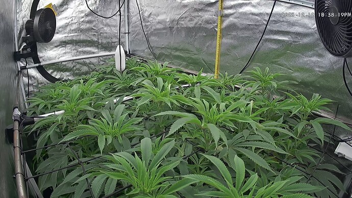Growreport Bild 16