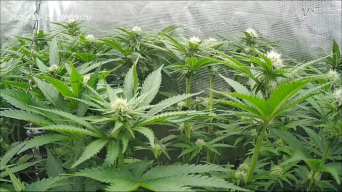 Growreport Bild 8