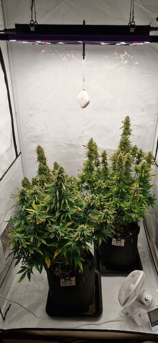 Growreport Bild 3