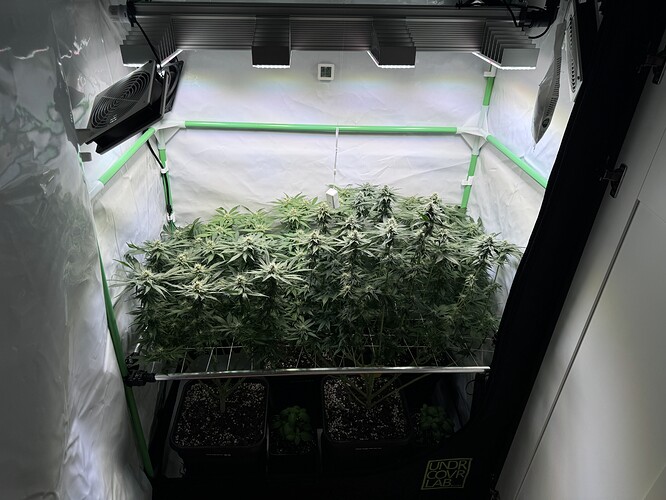 Growreport Bild 21