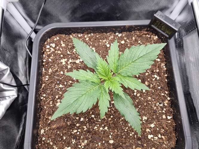 Growreport Bild 17