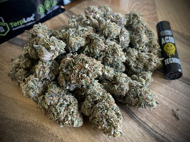 Growreport Bild 2
